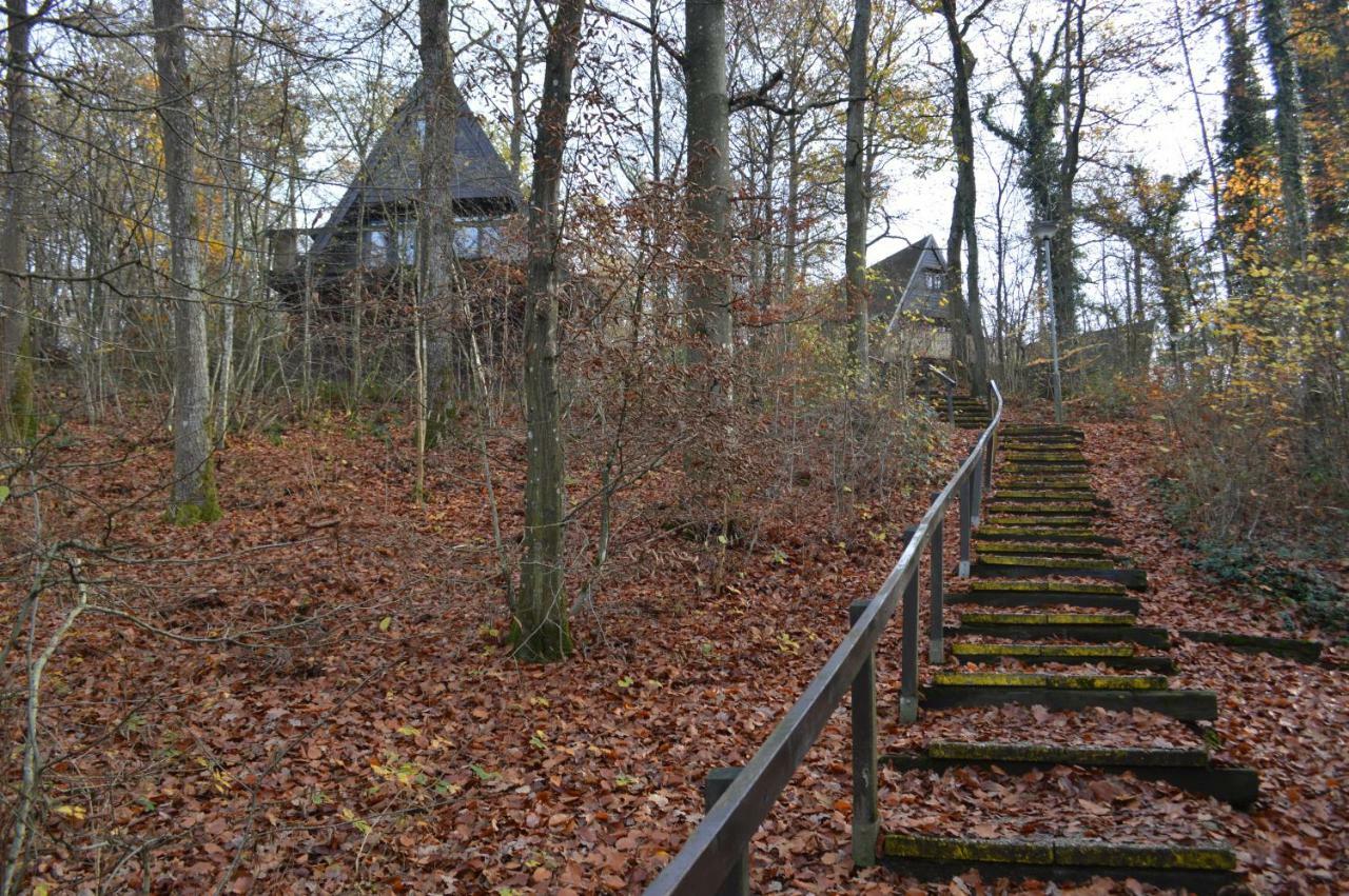 Chalet De Rosse Eekhoorn Villa Durbuy Eksteriør billede